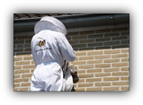 wespenbestrijding beginnen